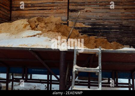il trasportatore di segatura lavora ad un impianto di lavorazione del legno. i rifiuti di produzione sono scaricati in un grande cumulo. residui di legname Foto Stock