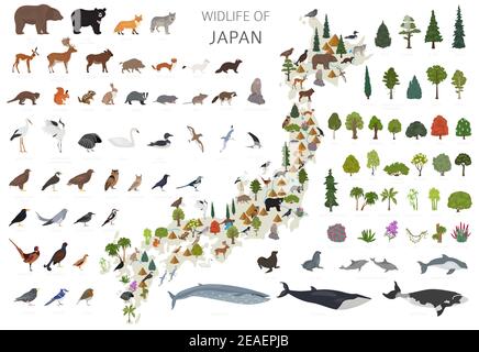 Design piatto della fauna selvatica del Giappone. Elementi costruttivi di animali, uccelli e piante isolati su set bianco. Crea la tua raccolta di infografiche geografiche. Illustrazione Vettoriale