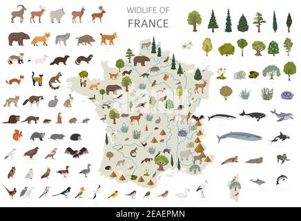 Design piatto della fauna selvatica della Francia. Elementi costruttivi di animali, uccelli e piante isolati su set bianco. Crea la tua raccolta di infografiche geografiche Illustrazione Vettoriale