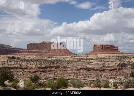 Coyote Buttes vicino al Parco Nazionale Canyonlands Foto Stock