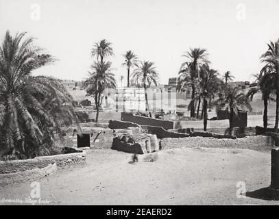 Foto d'annata tardo 19 ° secolo: Ermonthis Egitto, ora Armant, a sud di Tebe sul fiume Nilo. Foto Stock