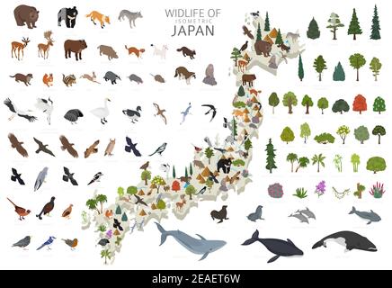 Design 3D isometrico della fauna selvatica giapponese. Elementi costruttivi di animali, uccelli e piante isolati su set bianco. Costruisci il tuo sistema di infografiche geografiche Illustrazione Vettoriale
