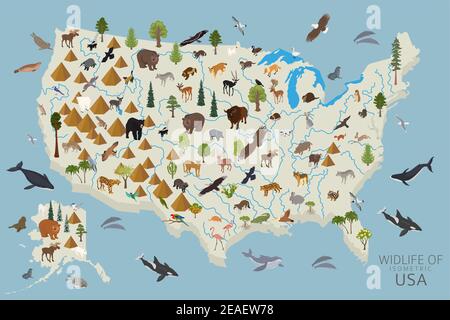 3d isometrico della fauna selvatica degli Stati Uniti. Elementi costruttivi di animali, uccelli e piante isolati su set bianco. Crea la tua raccolta di infografiche geografiche. Illustrazione Vettoriale