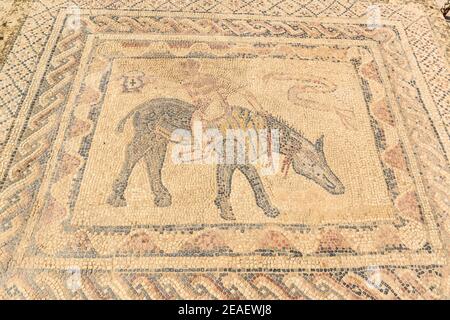 Mosaici a Volubilis, Marocco. Foto Stock