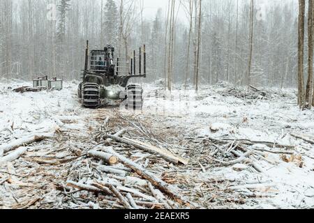 disboscamento illegale, raccolta di legno per l'industria manifatturiera, trasporto caricato con tronchi di alberi in legno, trasporto di legno in inverno Foto Stock