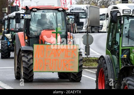 Friedrichshafen, Germania. 09 febbraio 2021. Con un poster che indica "No Farmer, No Future!" Sul suo trattore, un agricoltore dimostra nei dintorni dell'ufficio amministrativo distrettuale del distretto di Lake Constance contro la legge prevista per la protezione degli insetti. Circa 150 agricoltori con i loro trattori fanno il loro giro intorno all'ufficio distrettuale. Credit: Felix Kästle/dpa/Alamy Live News Foto Stock