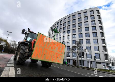 Friedrichshafen, Germania. 09 febbraio 2021. Con un poster che indica "No Farmer, No Future!" Sul suo trattore, un agricoltore dimostra nei dintorni dell'ufficio amministrativo distrettuale del distretto di Lake Constance contro la legge prevista per la protezione degli insetti. Circa 150 agricoltori con i loro trattori fanno il loro giro intorno all'ufficio distrettuale. Credit: Felix Kästle/dpa/Alamy Live News Foto Stock