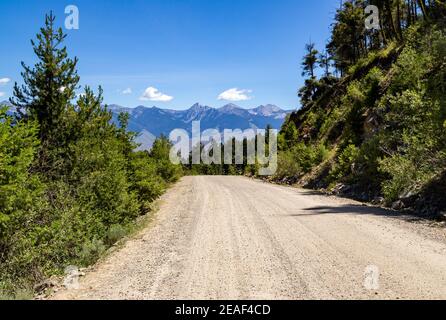 Una strada sterrata si snoda attraverso la foresta vicino a Salmon, Idaho Foto Stock