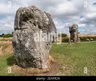 Megaliti all'interno del perimetro terra di Avebury UK il mondo il più grande cerchio di pietra neolitico Foto Stock
