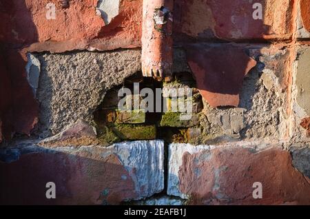 Tubo di scarico sulla vecchia parete di mattoni con stampo verde. Tubo di scarico arrugginito sulla parete danneggiata dagli agenti atmosferici con incrinature Foto Stock