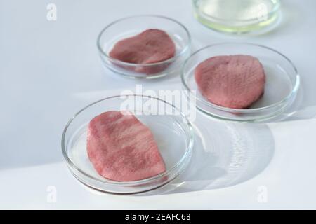 Fargli da laboratorio in una piastra Petri. Carne in piastra di coltura cellulare in vetro. Carne coltivata in vitro. Esperimenti su cellule somatiche animali. Nuova fonte proteica. Foto Stock