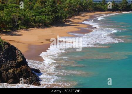 Spiaggia sabbiosa di Guadalupa dell'isola basse-Terre. Paesaggio di vacanza dei Caraibi. Spiaggia di Grand Bas Vent (Plage du Grand Bas Vent). Foto Stock