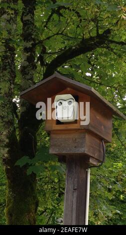 Telecamera di sorveglianza CCTV, Parco Nazionale Berchtesgaden, Baviera Baviera Baviera, Germania Foto Stock