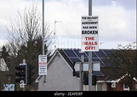 Un segno Loyalist a Lurgan, Contea di Armagh circa l'accordo di Belfast. I controlli post-Brexit in tutti i porti del Nord IrelandÕs riprenderanno da mercoledì. Data immagine: Martedì 9 febbraio 2021. Foto Stock