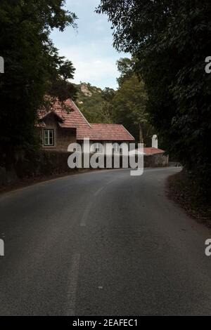 Strada vuota con la casa carina e gli alberi su entrambi i lati Foto Stock