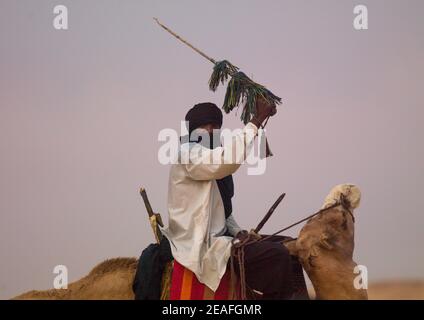 Tuareg uomo che cavalca il suo cammello, Tripolitania, Ghadames, Libia Foto Stock