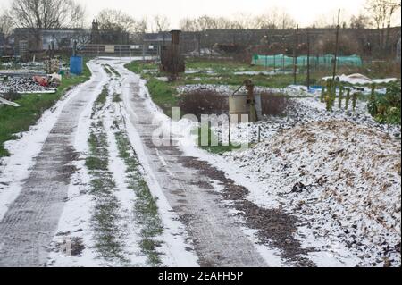 Eton Wick, Windsor, Berkshire, Regno Unito. 9 febbraio 2021. Questo pomeriggio c'era una leggera polvere di neve sulle allottazioni di Eton Wick, ma tutti i coltivatori di verdure sono stati rimboccati nel caldo di casa, dato che la temperatura è rimasta al di sotto di zero tutto il giorno. Le temperature più avanti di questa settimana sono previste per essere il più freddo in 10 anni. Credit: Maureen McLean/Alamy Live News Foto Stock