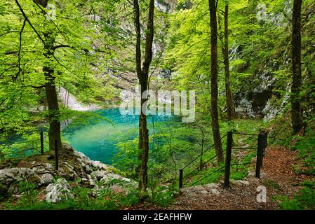 Divje Jezero vicino Idrija, Lago selvaggio, Slovenia Foto Stock