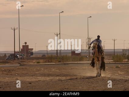 Tuareg uomo cavalcando il suo cammello lungo una strada moderna, Tripolitania, Ghadames, Libia Foto Stock