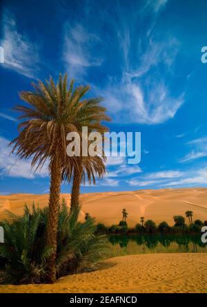 Laghi di Ubari, Fezzan, Umm al-Maa, Libia Foto Stock