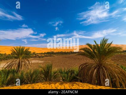 Lago Mandara nelle dune di ubari, Fezzan, Umm al-Maa, Libia Foto Stock