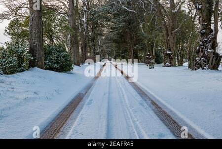 East Lothian, Scozia, Regno Unito, 9 febbraio 2021. Regno Unito Meteo: Condizioni di neve con un lungo vialetto coperto di neve con pneumatici che conducono in lontananza in inverno Foto Stock