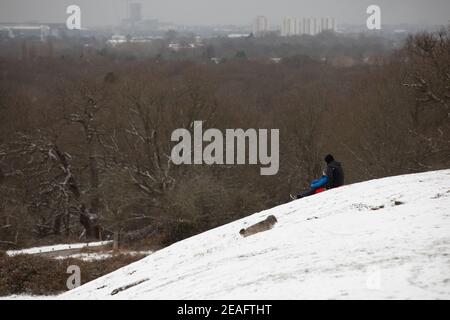 Un padre e un figlio che slittano nel Richmond Park durante la nevicata Foto Stock