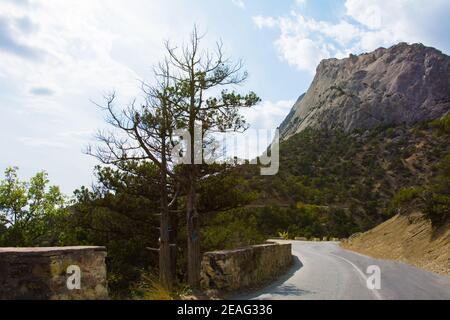 Strada a serpentina in montagna in una giornata di sole in estate. Foto Stock