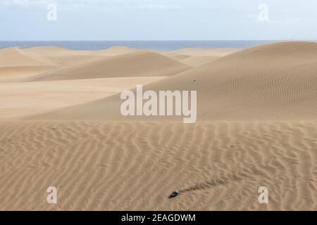 Pietra vulcanica nera sulle dune desertiche dell'isola di Gran Canaria, Spagna Foto Stock