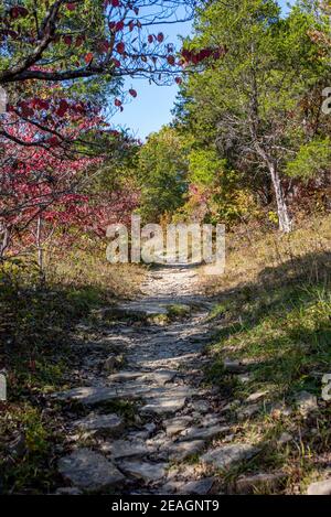 Vista del percorso di traccia animale formato da animali migratori E dei nativi americani nel Blue Licks Battlefield state Resort Parco nel Kentucky Foto Stock