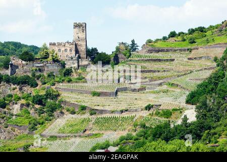 Burg Gutenfels si affaccia sul Reno (Rhein). Foto Stock