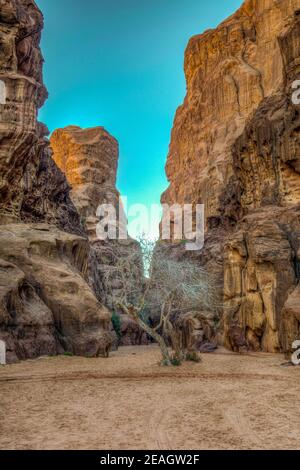 Siq di Abu Khashaba nel deserto di Wadi Rum in giordania Foto Stock