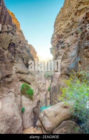 Siq di Abu Khashaba nel deserto di Wadi Rum in giordania Foto Stock