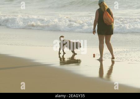 Gioco del cane, Cocker Spaniel giocare palla con donna adulta sulla spiaggia, Durban, Sudafrica, animale umido, esercizio, stimolazione mentale, persone Foto Stock