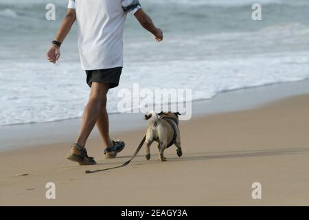 Persone, uomo adulto che cammina cane sulla spiaggia, salute animale, cani attivi, Durban, Sudafrica, migliore amico dell'uomo, compagno canino, stimolazione mentale Foto Stock