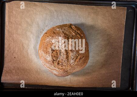 Una pagnotta di pane appena sfornata. Serie step-by-step per la preparazione di pane fatto in casa. Quadro 11 di 13 Foto Stock