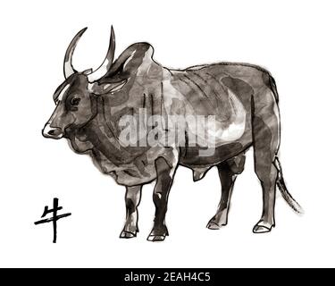 Zebù bull, vettore sumi-e. Pittura orientale di lavaggio dell'inchiostro. Simbolo del nuovo anno orientale dell'Ox. Illustrazione Vettoriale