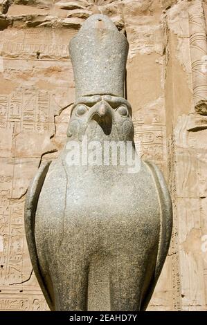 Antica statua di granito egiziano del dio falco Horus. Tempio di Horus, Edfu, Egitto. Foto Stock