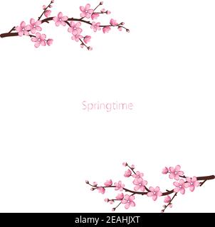 Carino cornice fiori Sakura Illustrazione Vettoriale