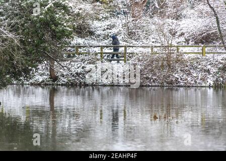 Priory Park a Southend on Sea, Essex, Regno Unito, con neve da Storm Darcy. Persona che cammina attraverso la zona boscosa nevosa sopra il lago di pesca. Passeggiata invernale Foto Stock