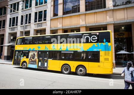 Autobus giallo a due piani nel centro di Sydney, autobus linea B per le spiagge settentrionali di Sydney, Australia Foto Stock