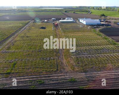 Quadri di serre, vista dall'alto. Costruzione di serre in campo. Agricoltura, agrotechnics di terreno chiuso Foto Stock