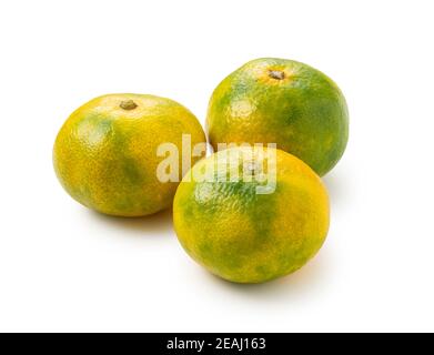 Le prime arance del mandarino giapponese su sfondo bianco Foto Stock