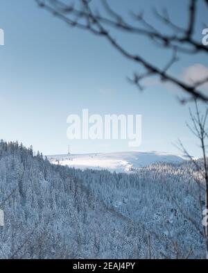 Vista panoramica sugli alberi innevati di Blackforest, Germania durante l'inverno Foto Stock