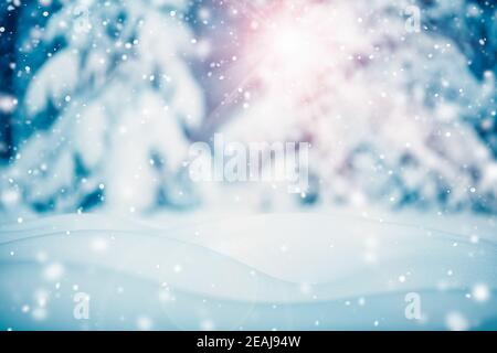 Winter snowy background with trees in snowfall Foto Stock