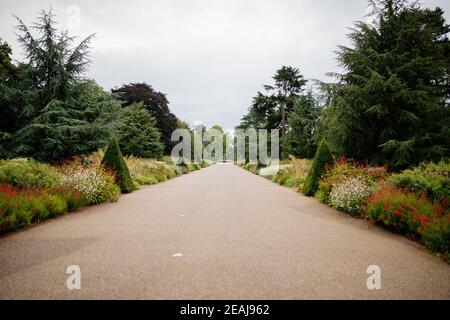 Paesaggio Vista di un lungo percorso circondato da alberi e. Sotto un cielo nuvoloso Foto Stock