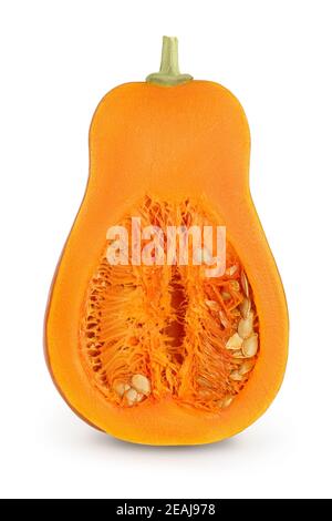 zucca butternut a metà isolato su sfondo bianco con tracciato di ritaglio e profondità di campo completa. Foto Stock