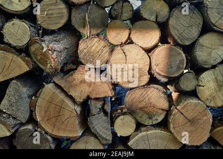 Mucchio di legno del registro Foto Stock