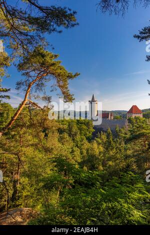 Castello medievale Kokorin nella Boemia settentrionale, repubblica Ceca Foto Stock