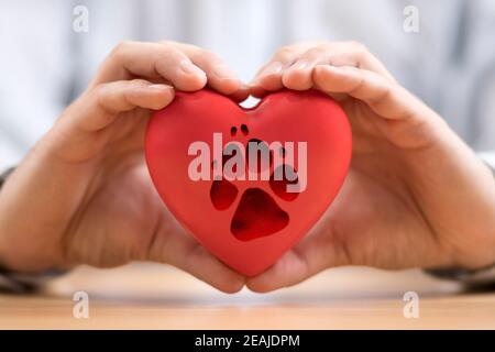 Cuore rosso con la stampa della zampa del cane nelle mani Foto Stock